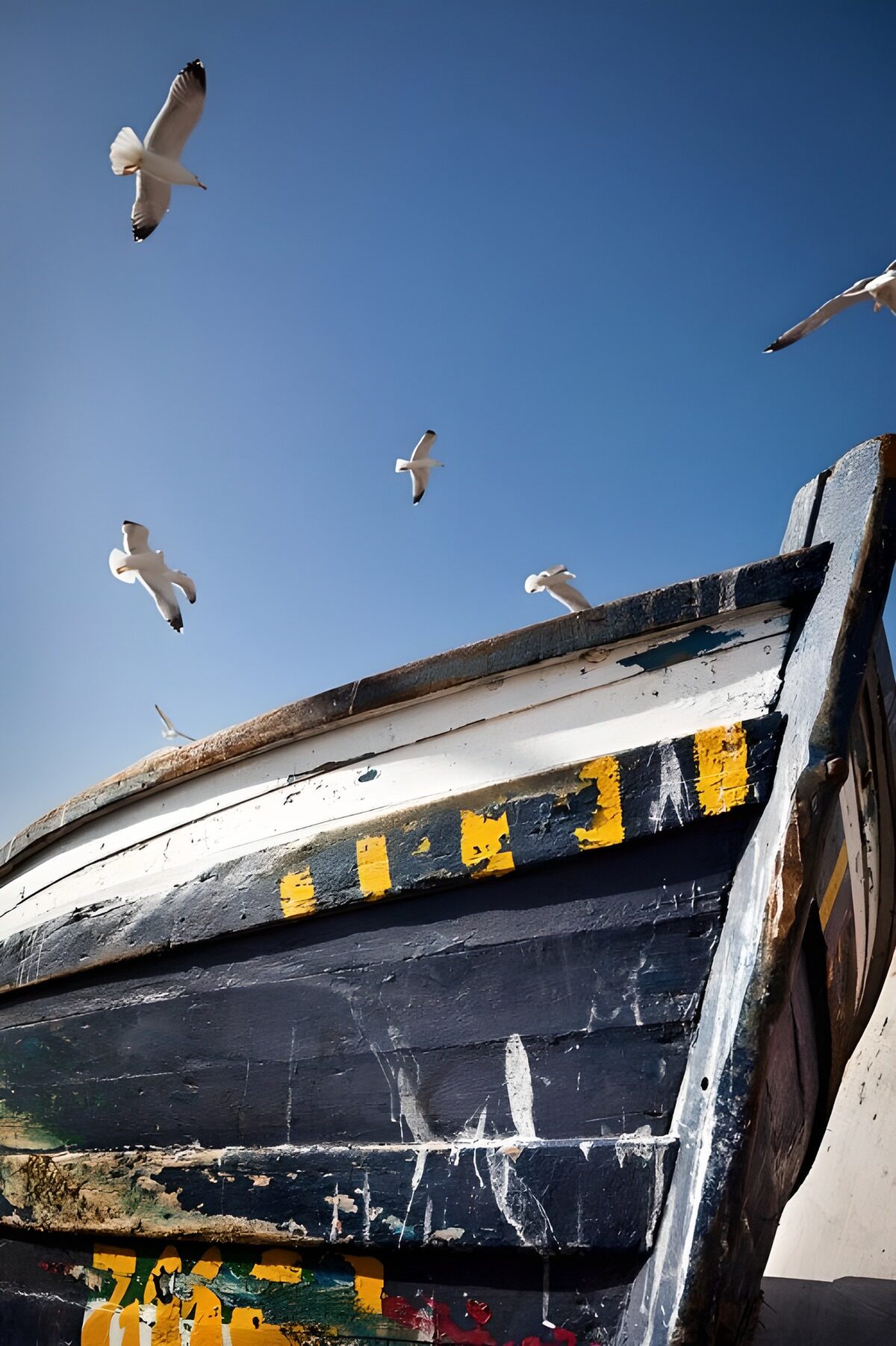 TPDE27398: Möwen über einem Boot