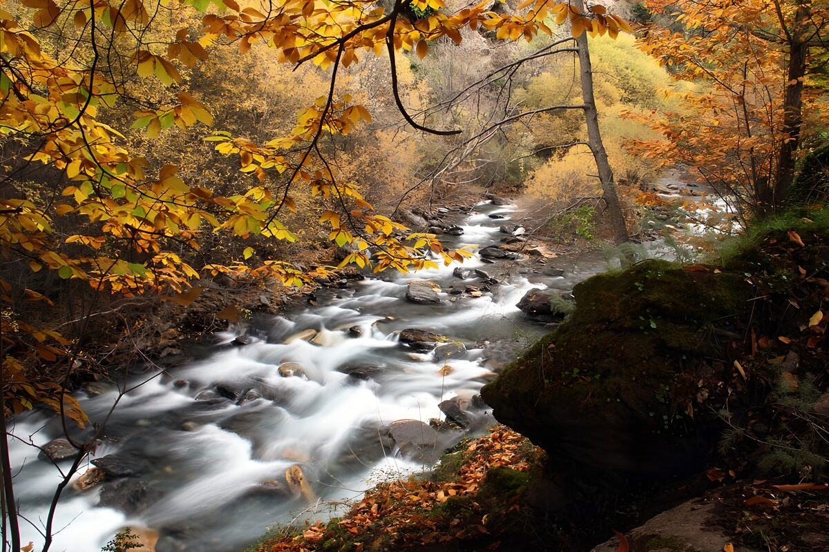TPDE11450: Stromschnellen im Oktober in Allgäu