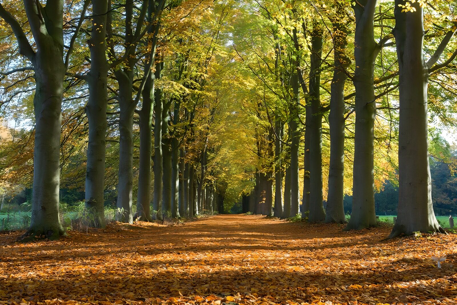 TPDE40035: buntes Herbstpanorama
