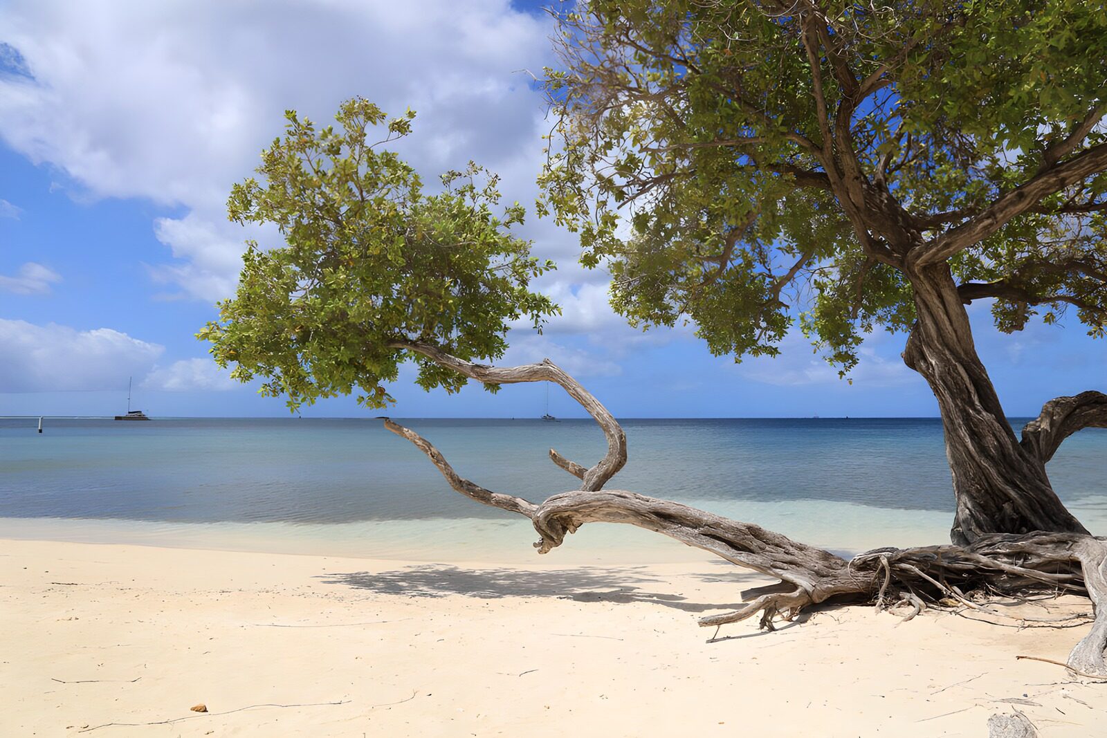 TPDE74395: Traumhafter Strand mit klarem Wasser