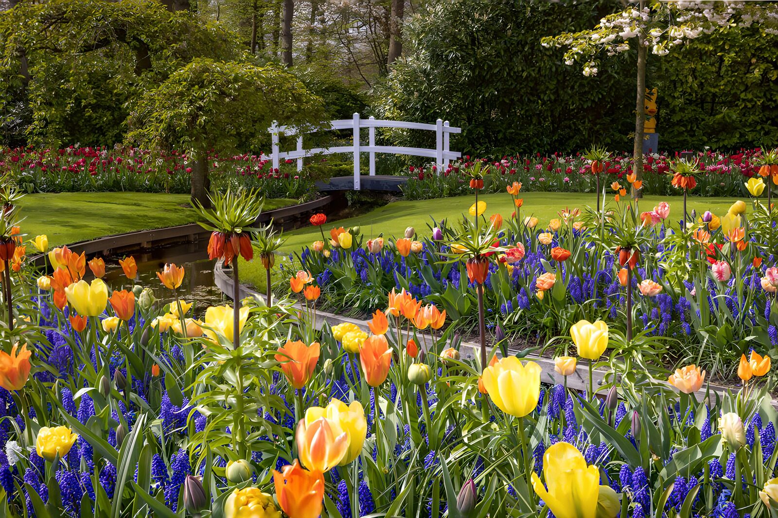 TPDE50886: Blühende Frühlingslandschaft im Garten