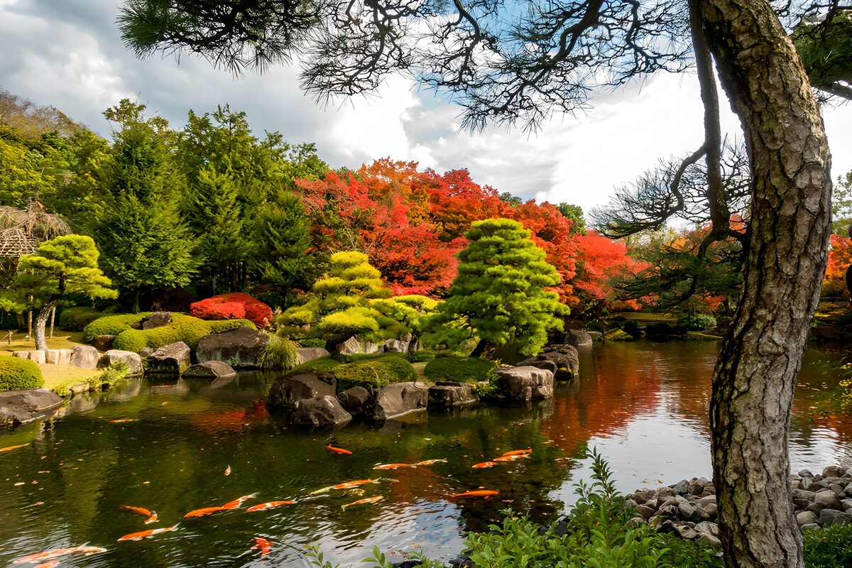 Herbstfarben im japanischen Garten