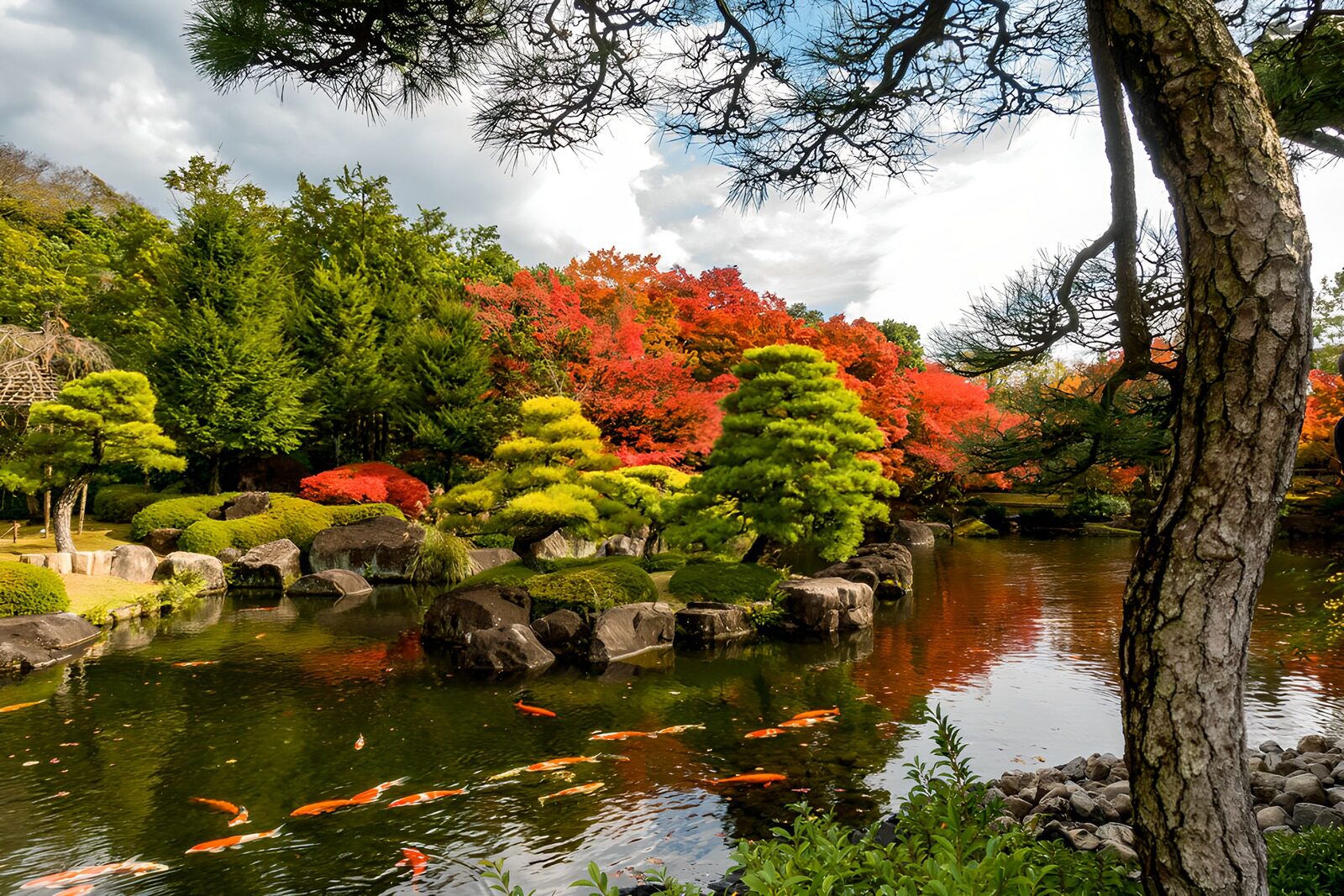 TPDE52893: Herbstfarben im japanischen Garten