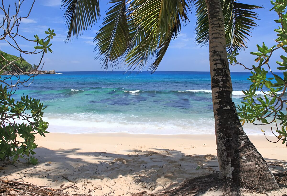 TPDE54883: eine Stelle im Schatten unter Palmen nahe dem Strand