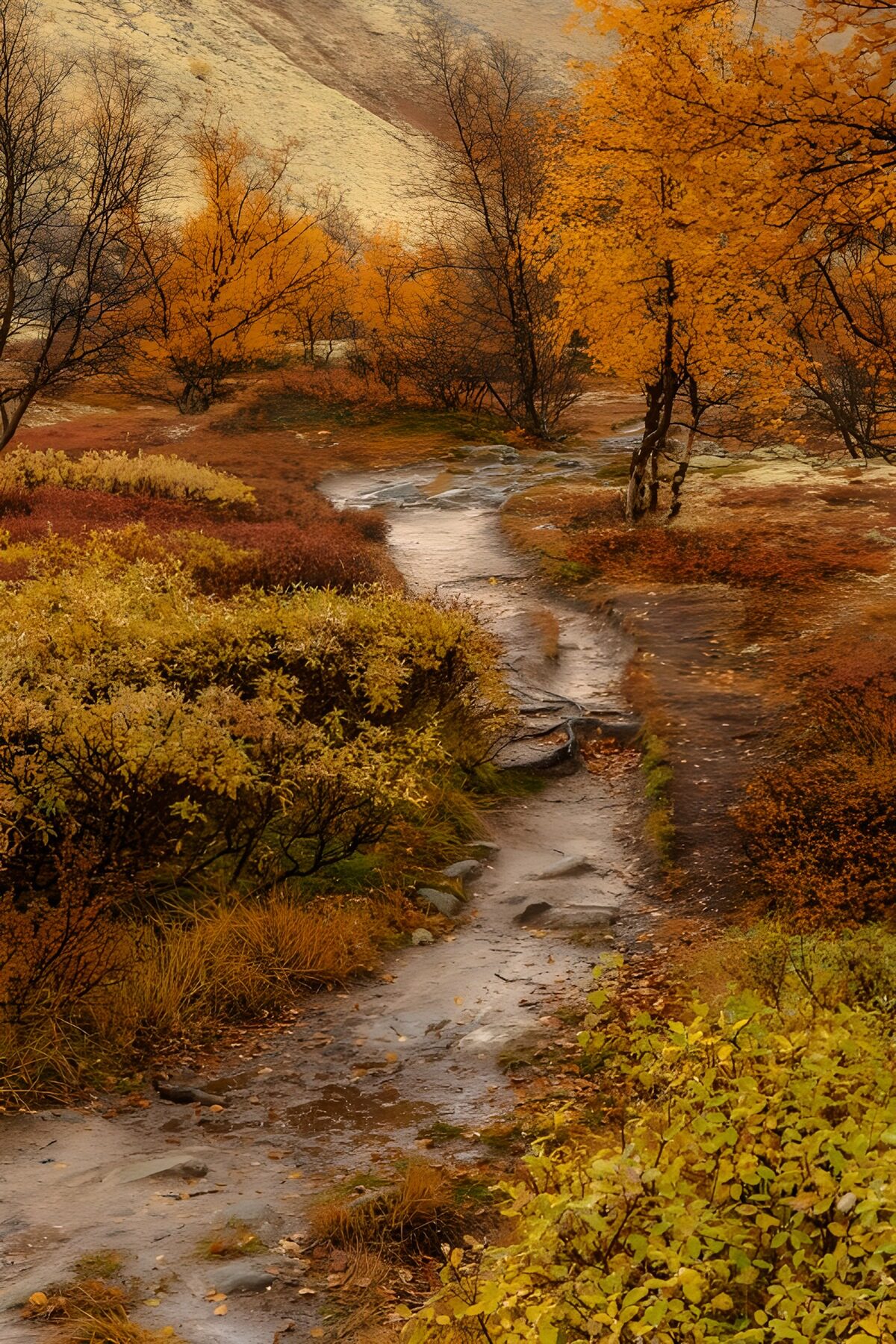 TPDE84957: Herbstliche Wanderung durch die Natur