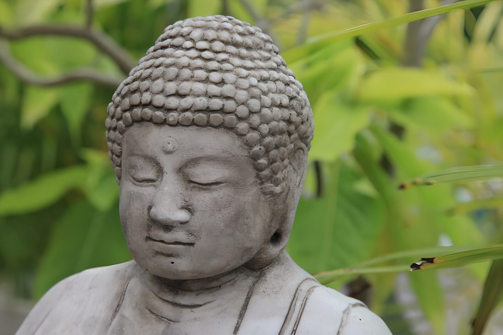 TPDE78523: Buddha-Statue zwischen Dschungelbewuchs
