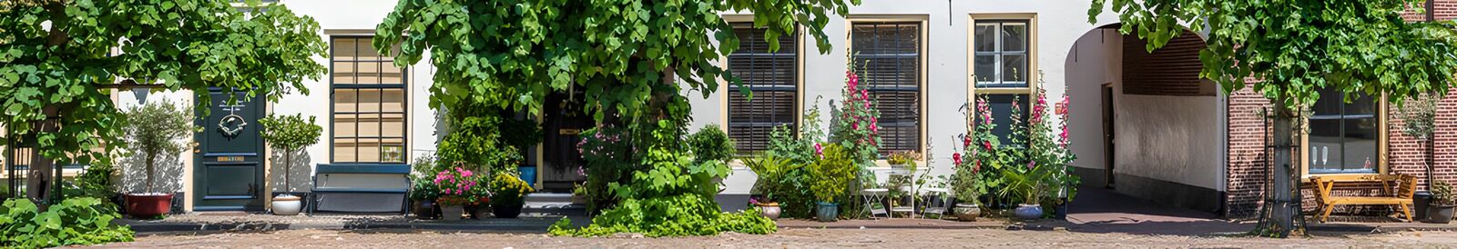 TPDE12808: Idylle in der blühenden Straße