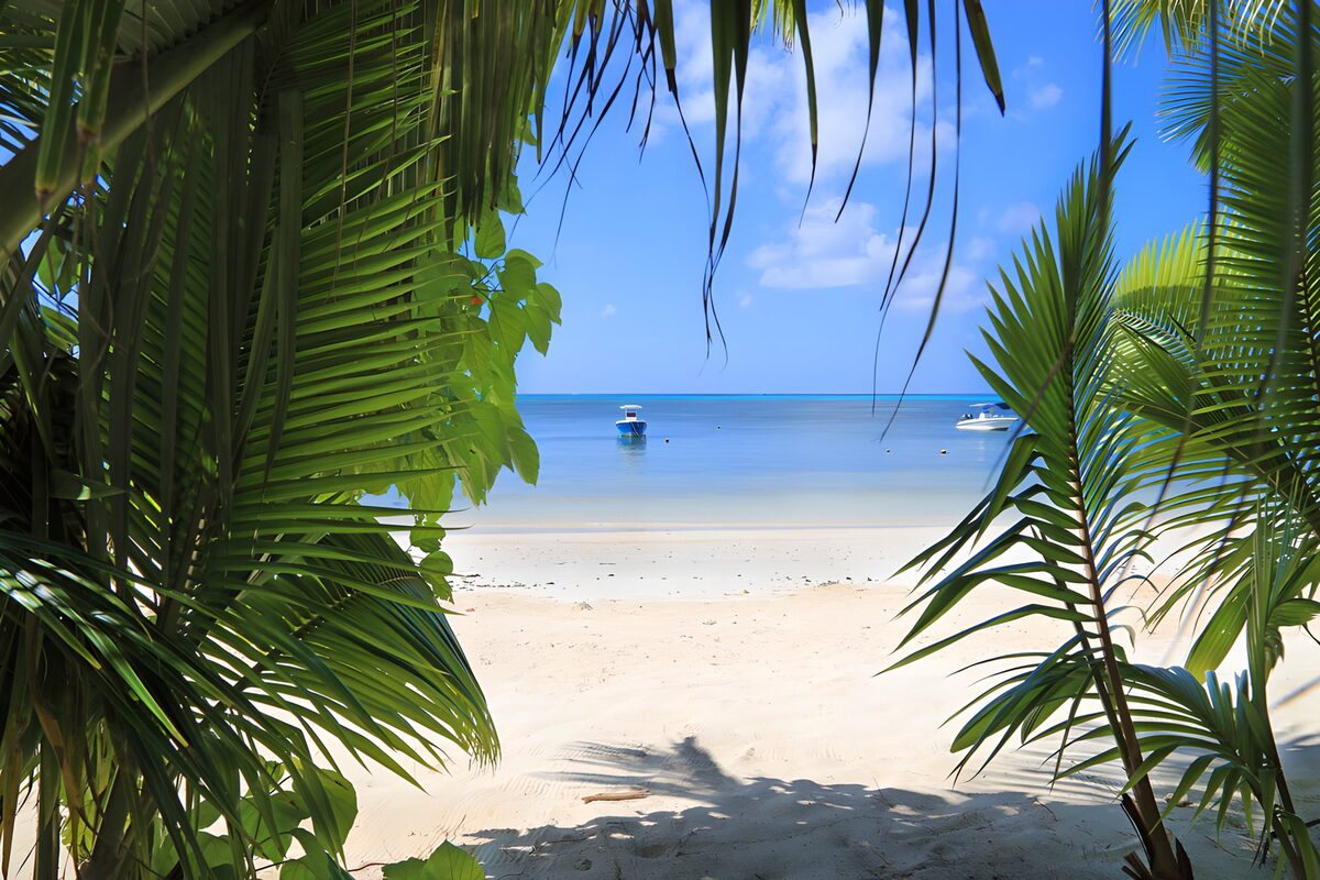 TPDE48369: Tropicaler Strandblick unter Palmen