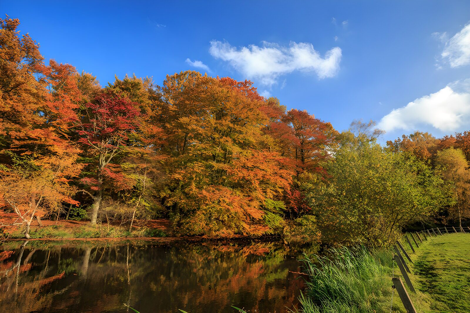 TPDE22197: Farbenfrohes Herbstlaub am Wasser