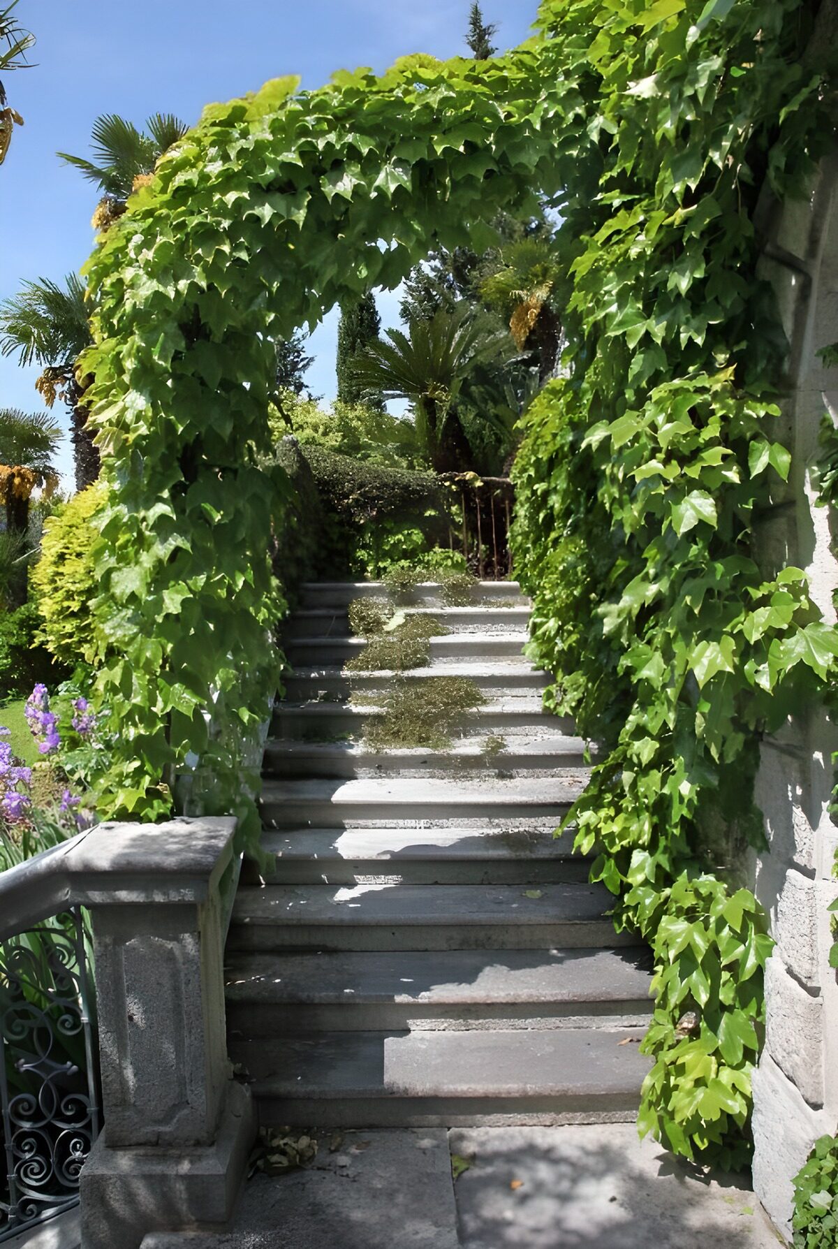 TPDE62616: schattige Treppe zu einem Aussichtspunkt