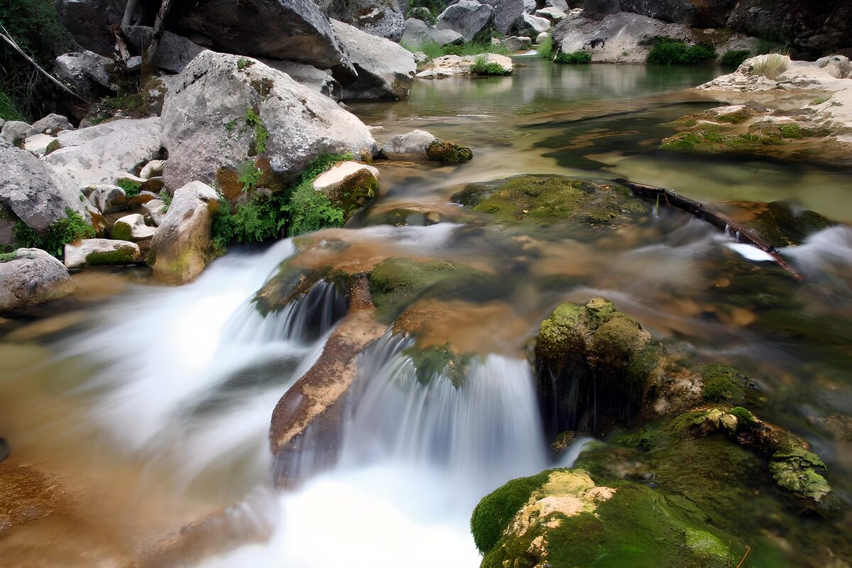 im Hintergrund ein kleiner Weiher, worin nur Hartgesottenen baden gehen