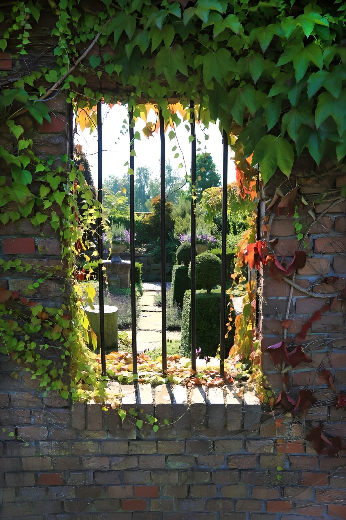 TPDE93652: Blick durch Gitter