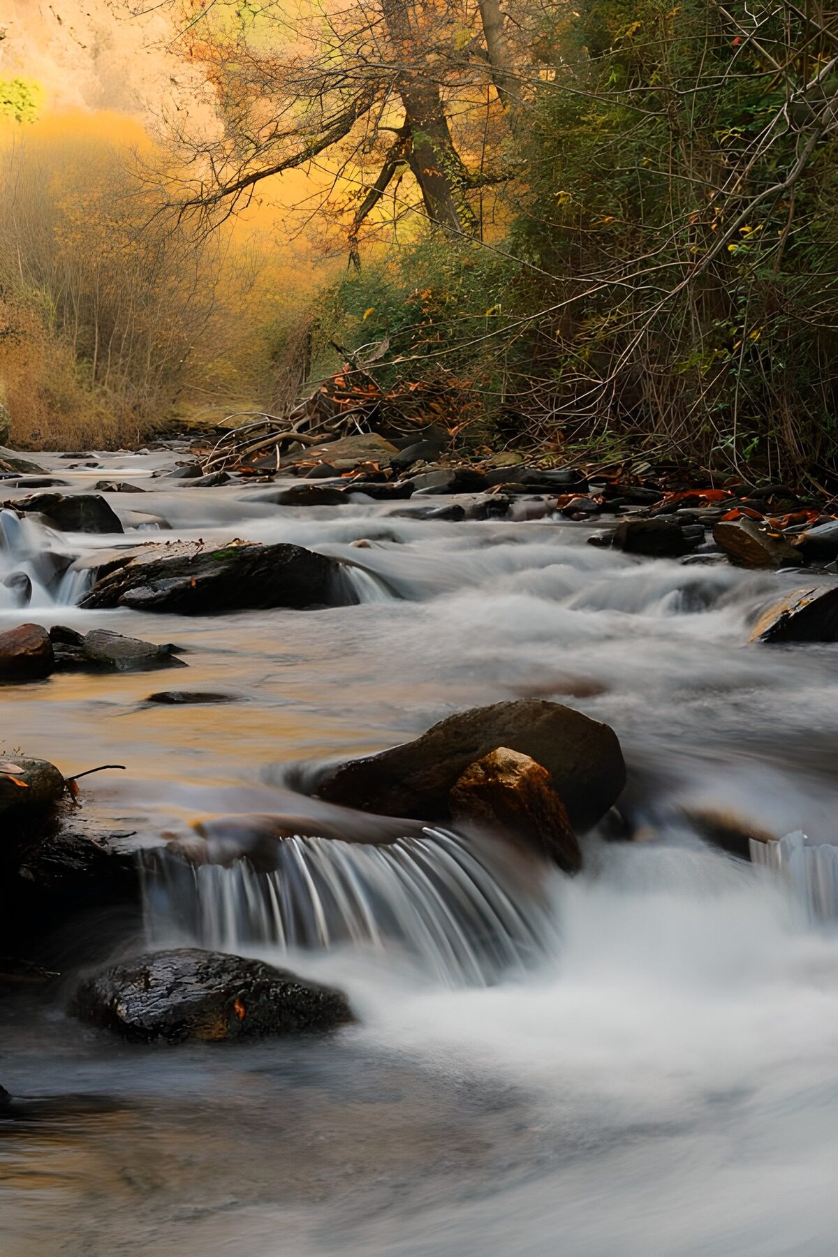 TPDE52010: schnellströmendes Wasser eines Flusses im Wald
