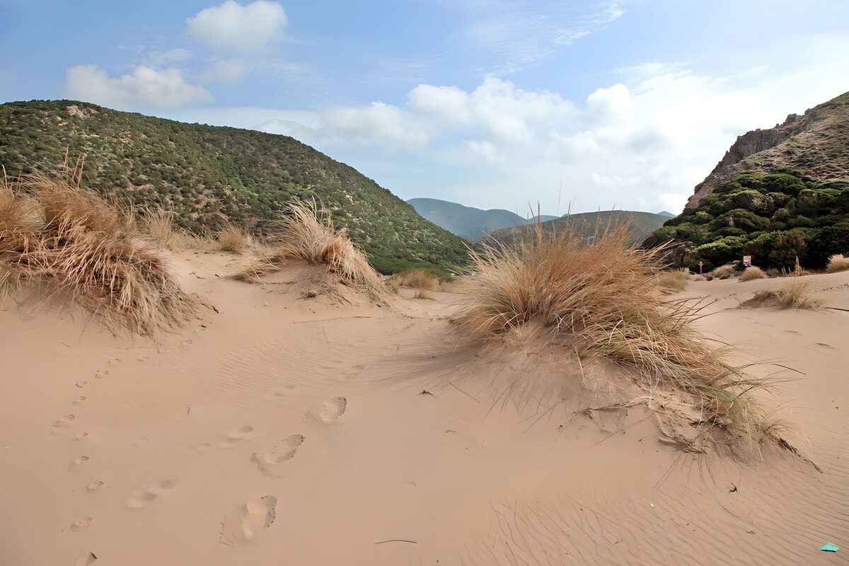 TPDE54039: ein Wanderweg durch die Dünen