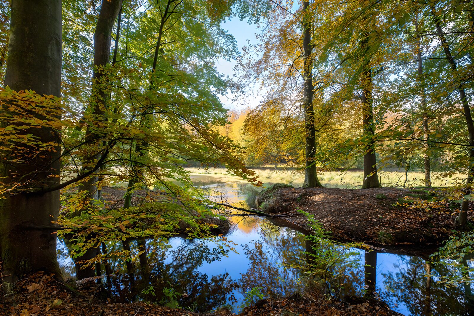TPDE25072: Herbstliche Waldlandschaft mit Wasser