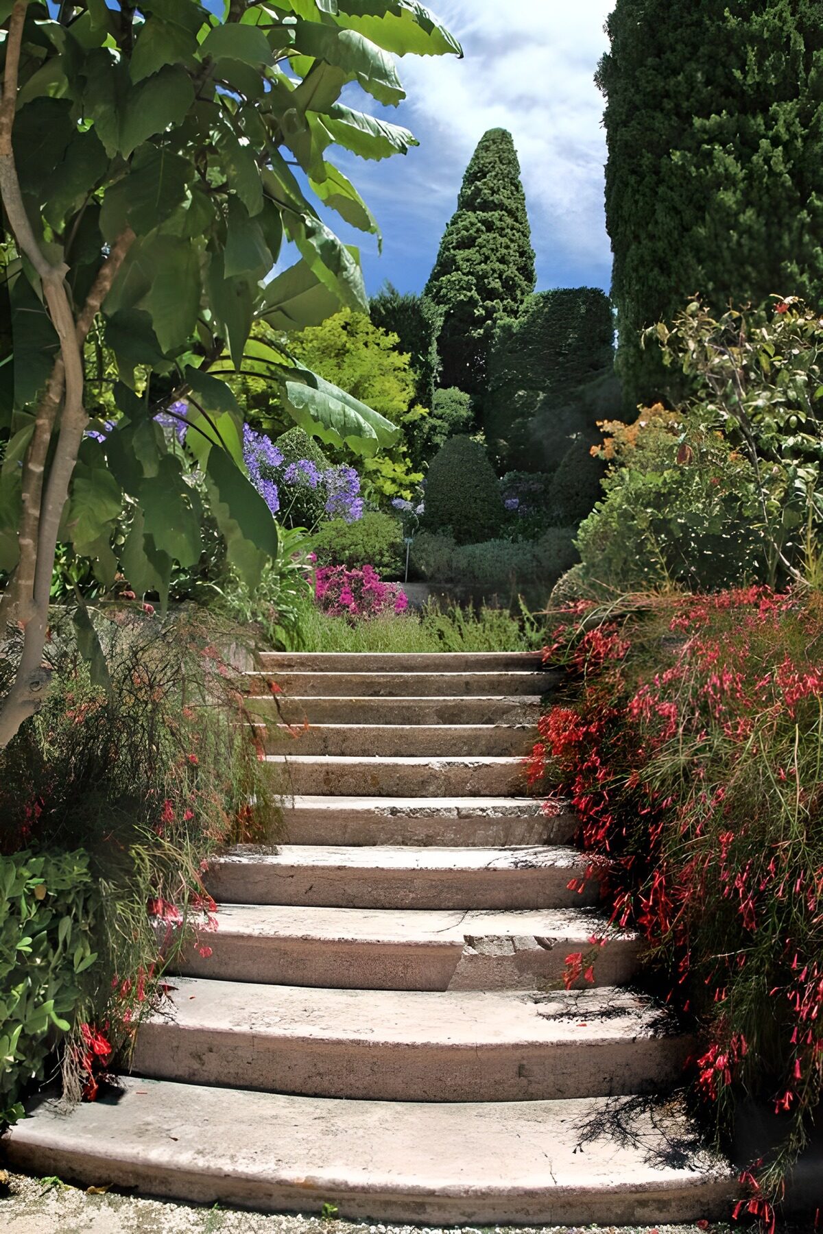 TPDE47880: steinerne Treppe mit Blick auf mediterrane Bäume und Sträucher