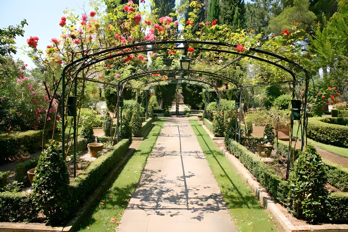 TPDE63447: Blick auf Spalier mir Rosen in einem französischen Garten Version 3