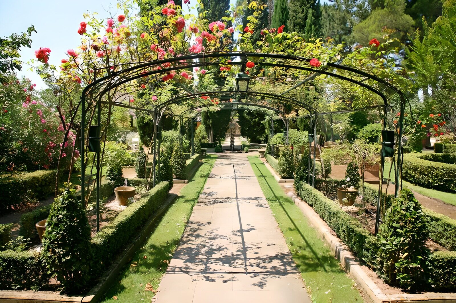 TPDE63447: Blick auf Spalier mir Rosen in einem französischen Garten Version 3