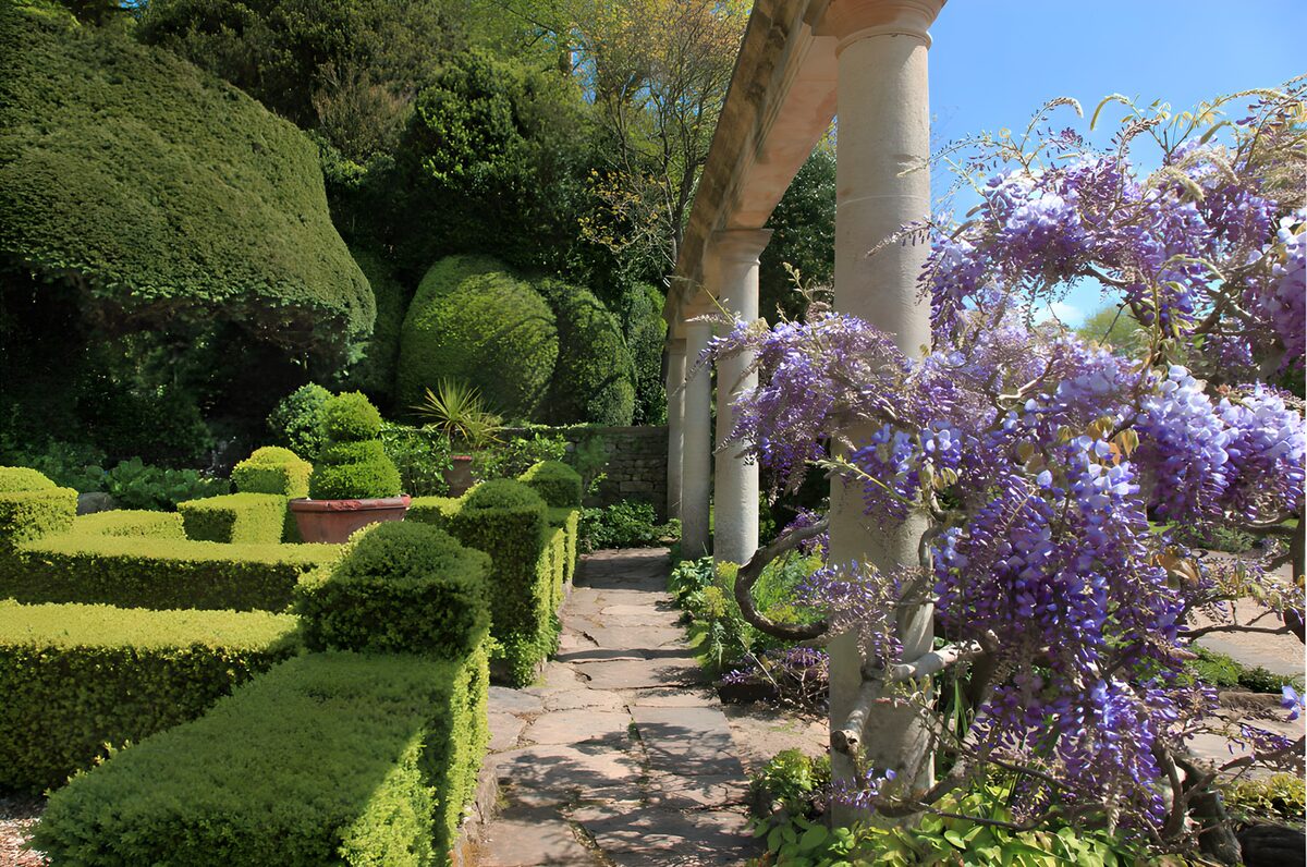TPDE61779: Wunderschöner Garten mit blühenden Pflanzen