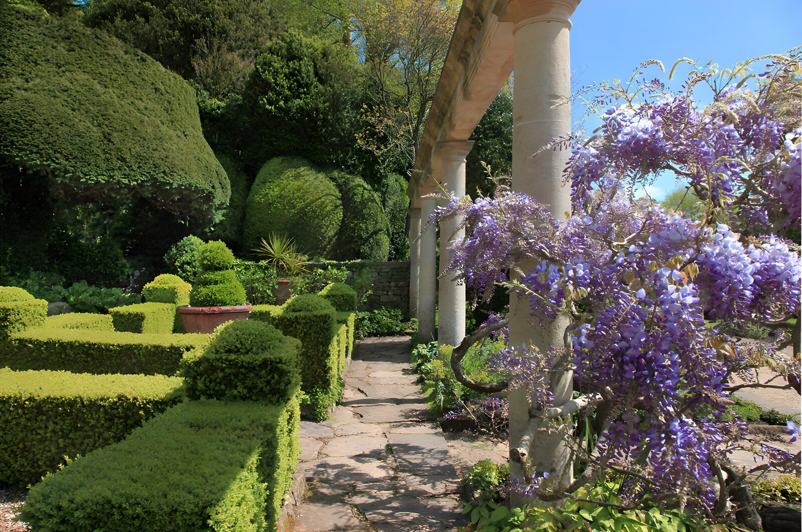TPDE61779: Wunderschöner Garten mit blühenden Pflanzen