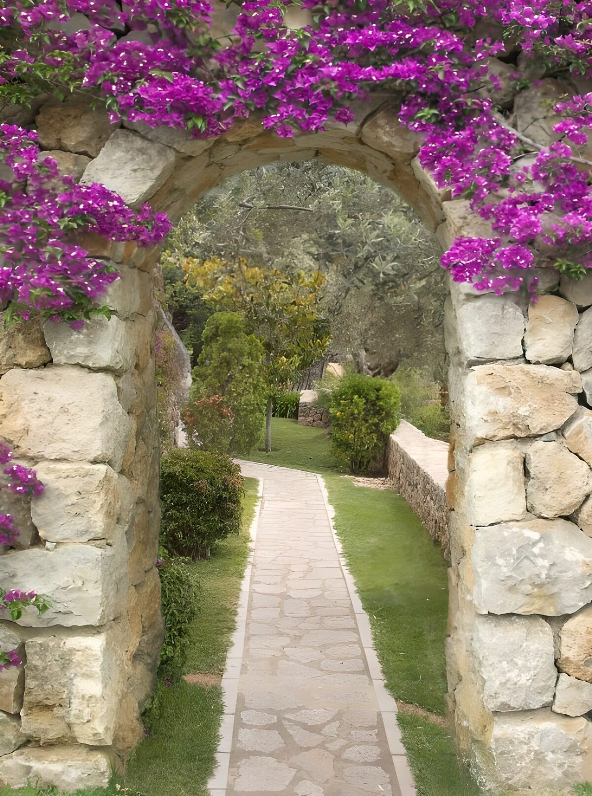 TPDE69489: Rundbogen mit Bougainvillea mit Blick auf einen Park