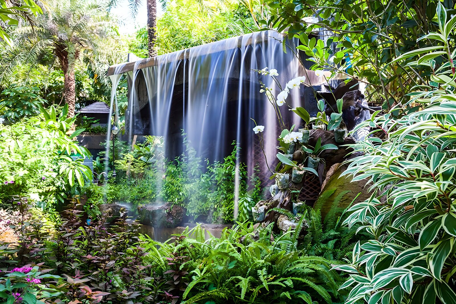 TPDE86025: Wasserfall mit viel Grün ringsherum