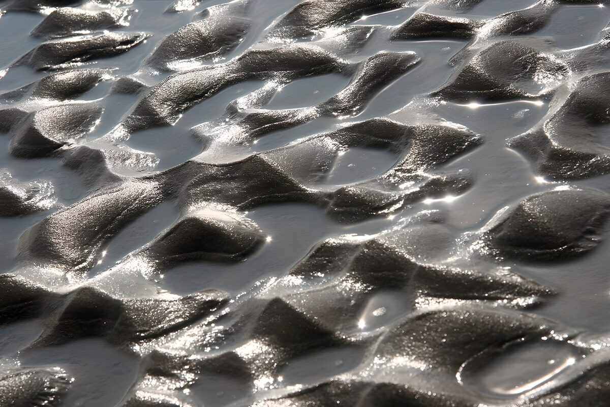 TPDE65553: der Strand bei Ebbe