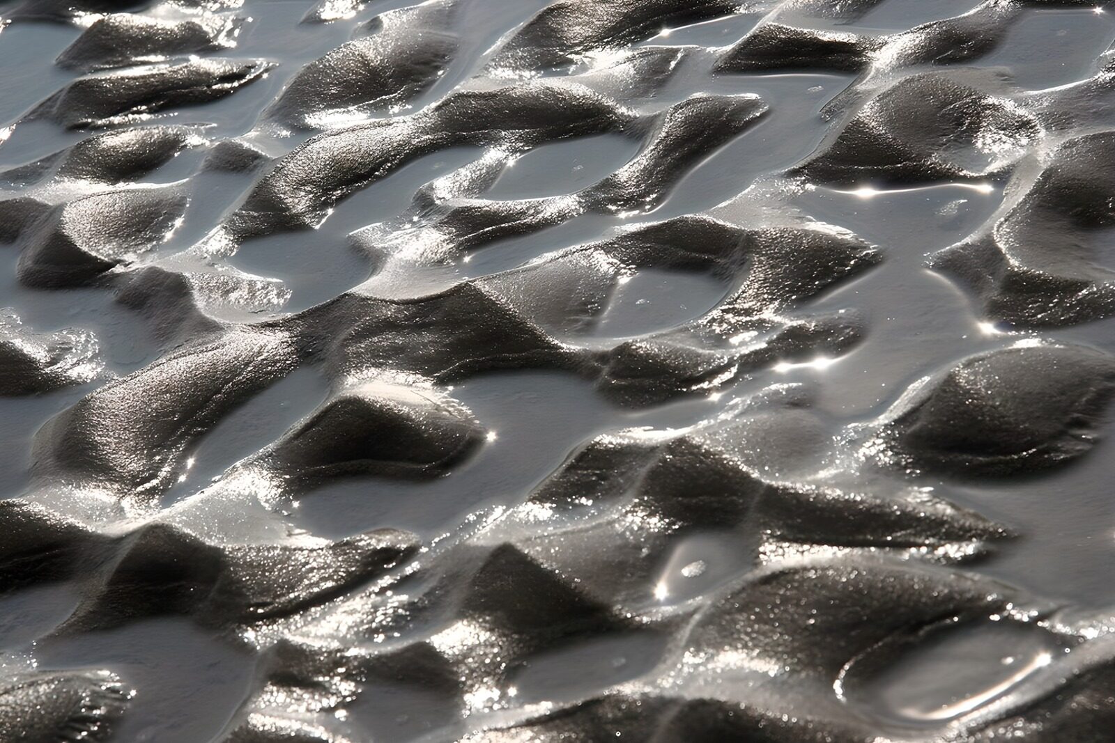 TPDE65553: der Strand bei Ebbe