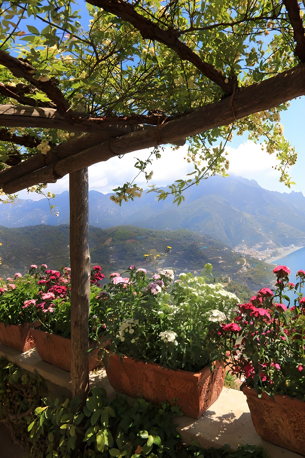 TPDE38555: Blühende Terrasse mit Meerblick