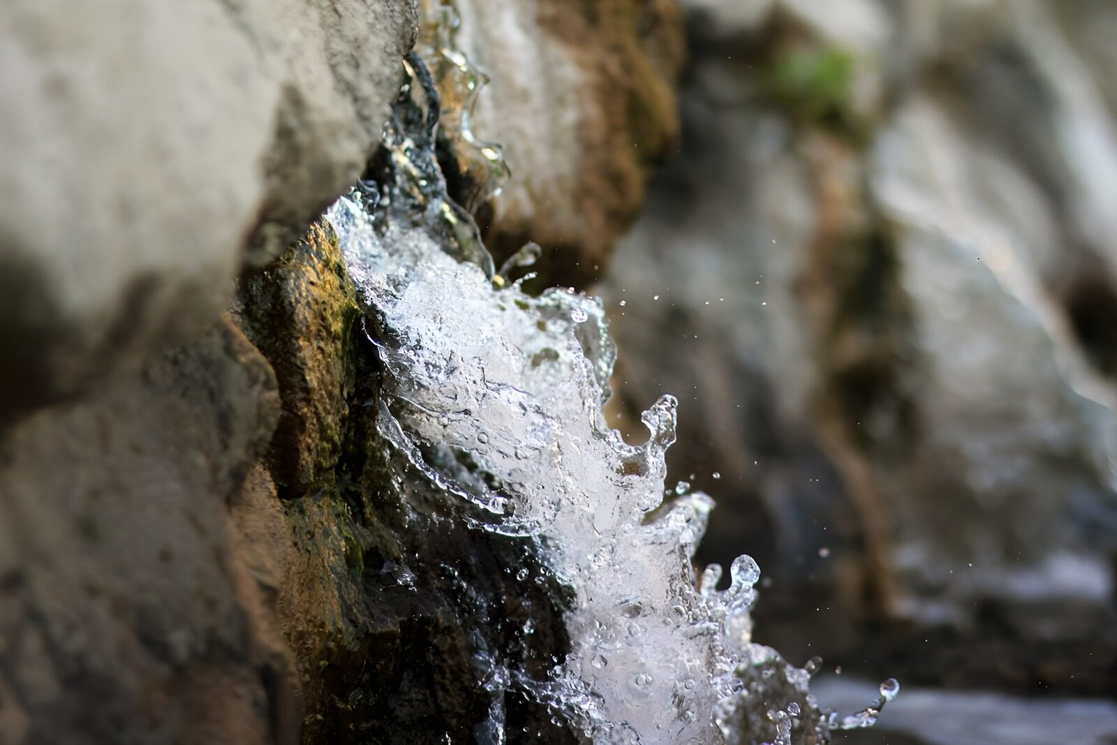 TPDE86300:  einzelne, kleine Wassertropfen ganz nah