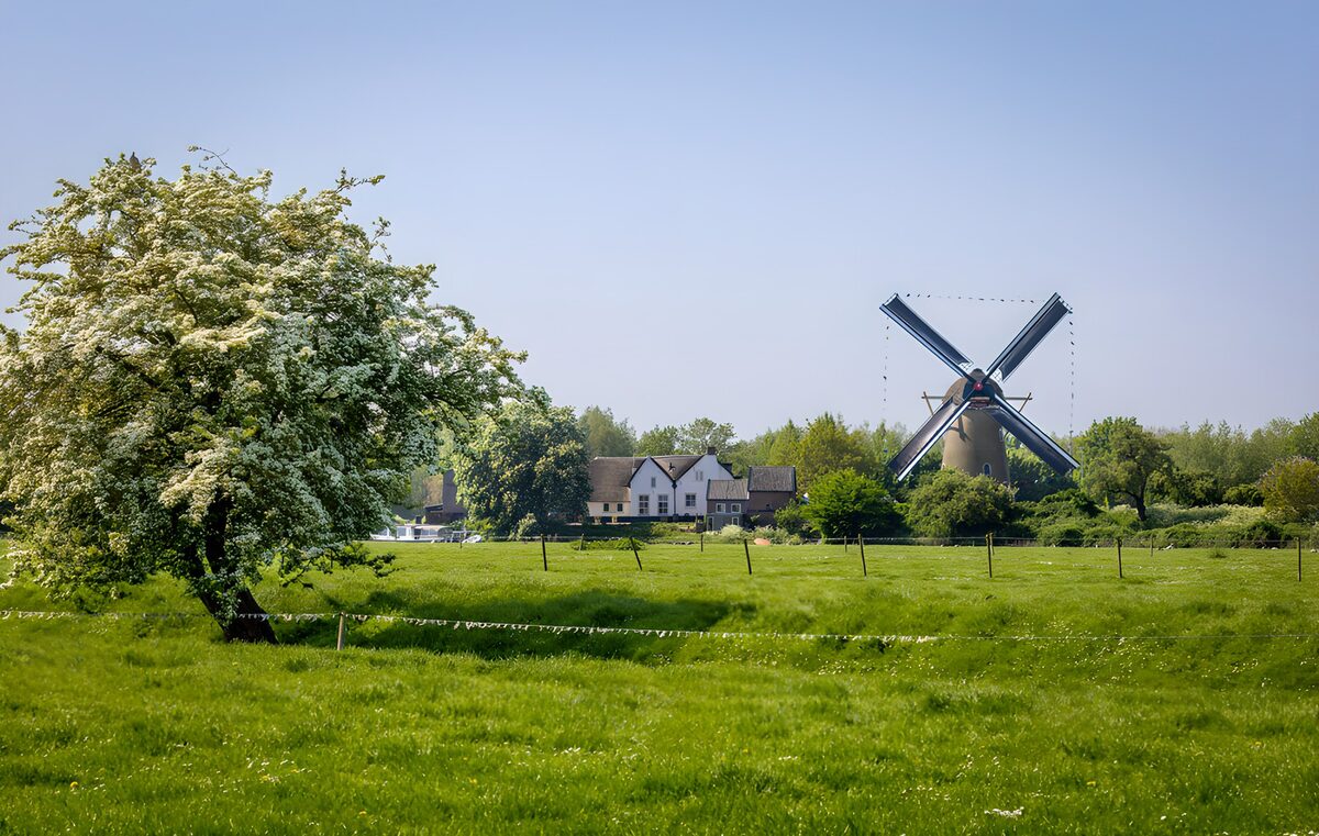 TPDE78627: Malerische Mühle in der Landschaft