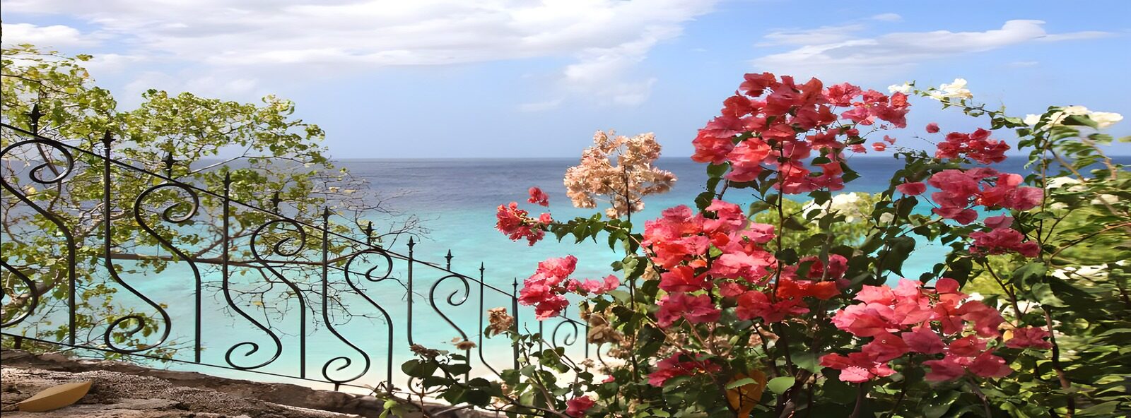 TPDE42678: rosarote Blüten an einer Treppe entlang das Meer