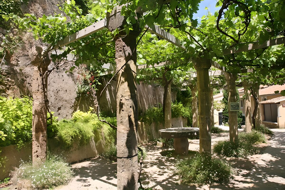 alte Terrasse  im Schatten der Weinrebenblätter Version 1
