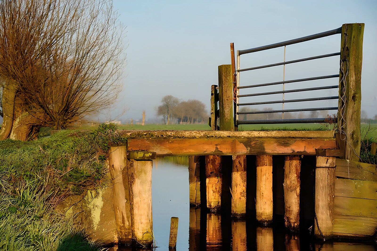 TPDE34281: Holzbrücke mit Gatter in einer Wiese