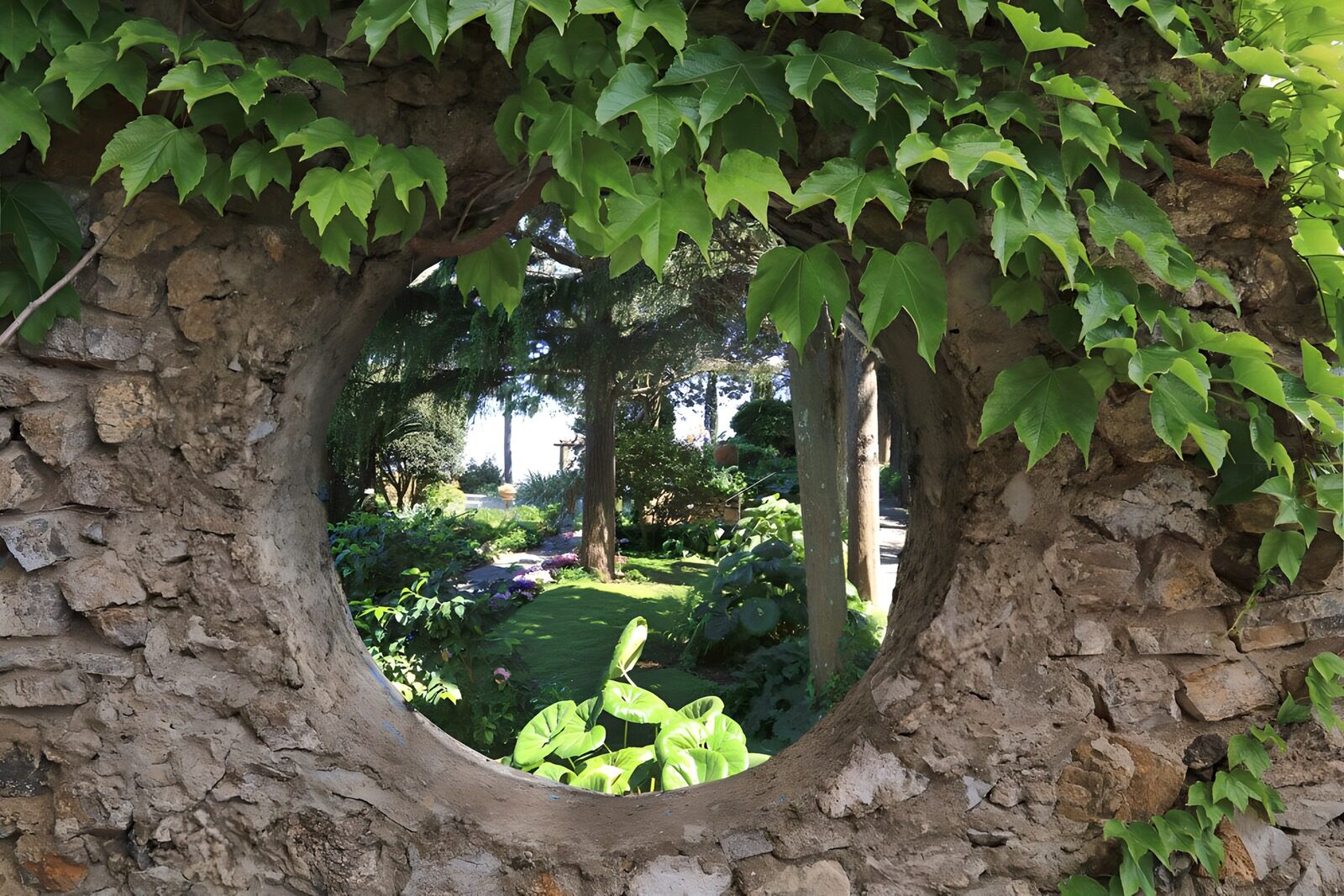 TPDE49805: Blick durch den Gartenbogen