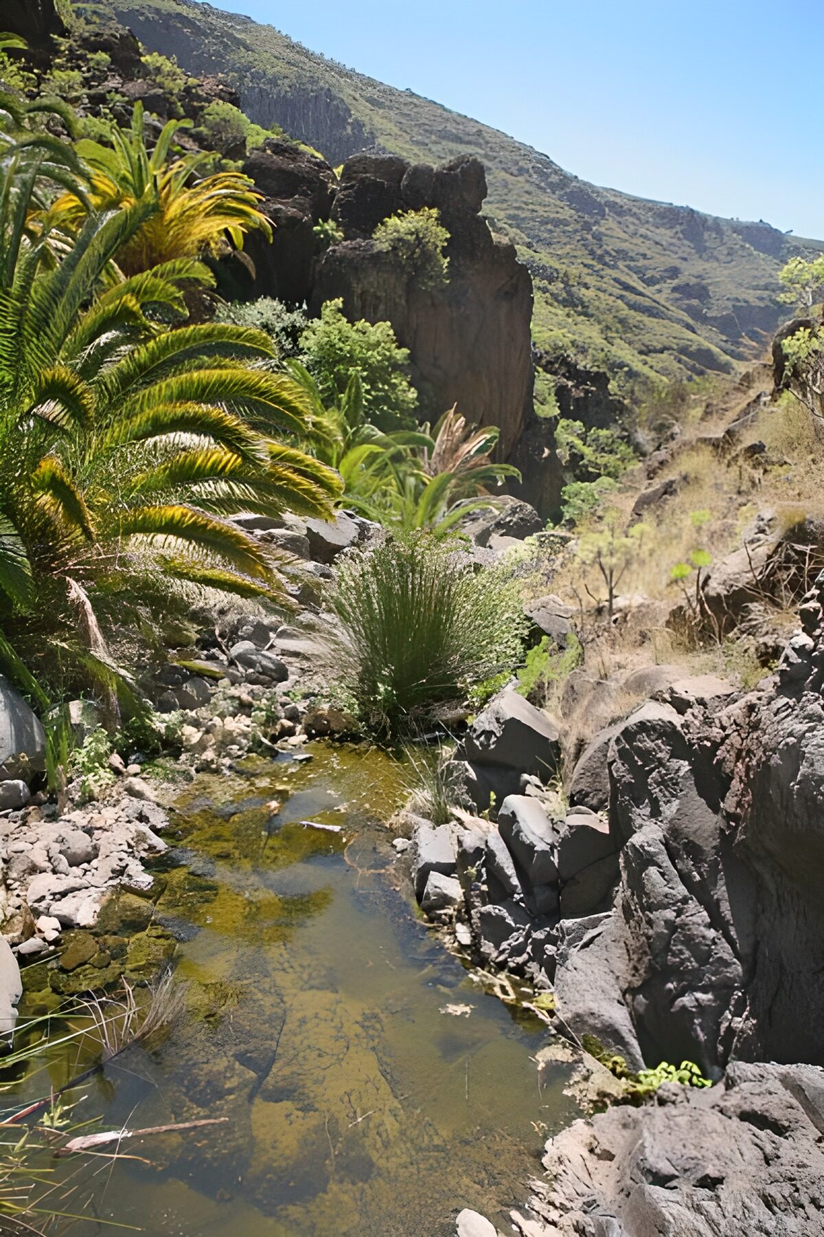 TPDE70820: Blick durch eine Schlucht auf La Gomera 11