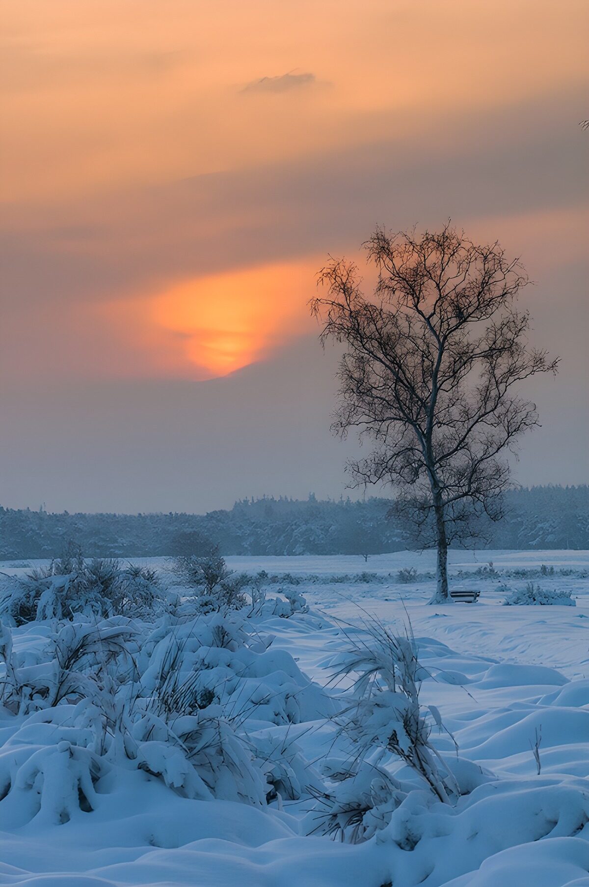 TPDE54740: Winterlandschaft mit Sonnenuntergang