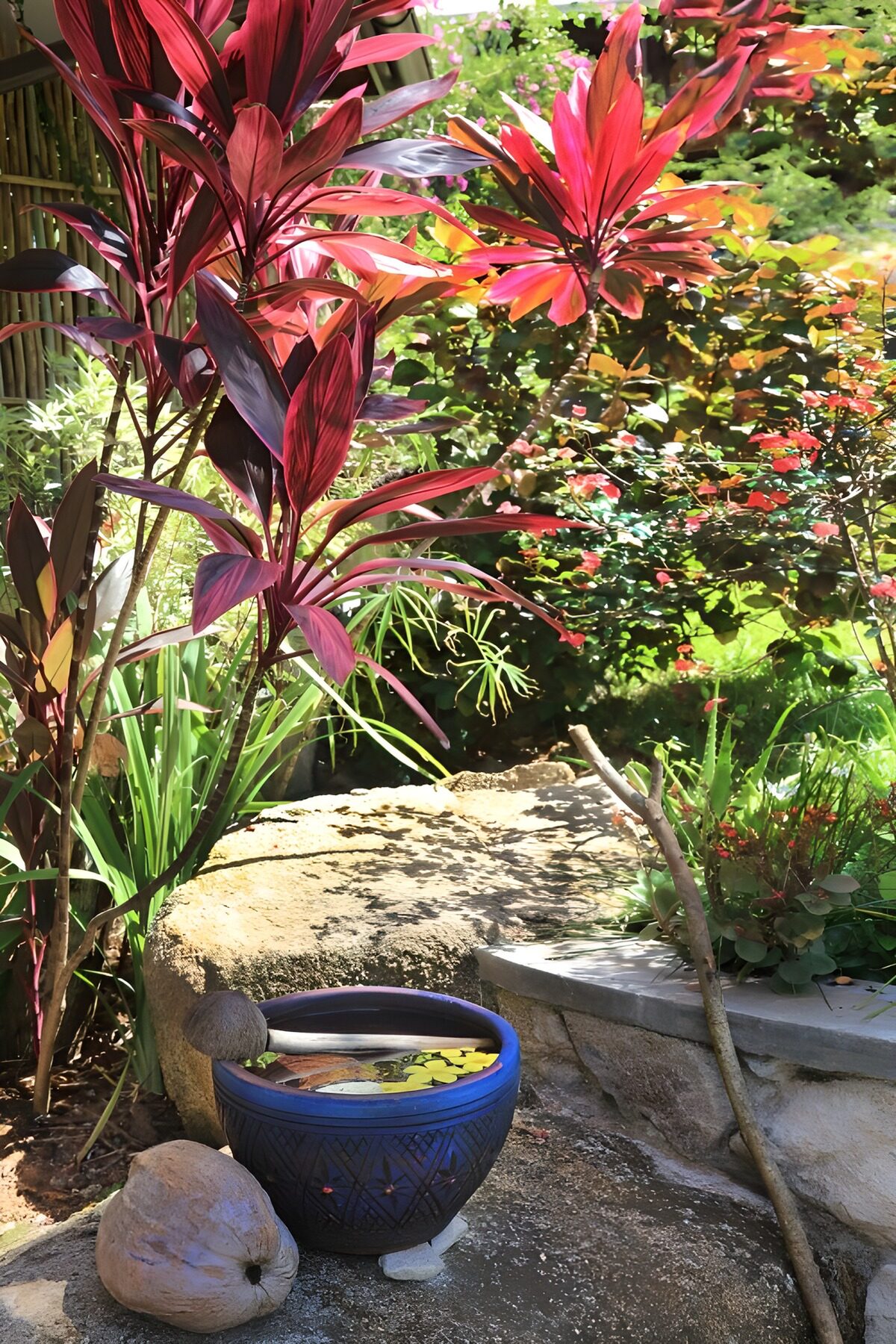 TPDE13329: Friedlicher Garten mit Wasserbecken