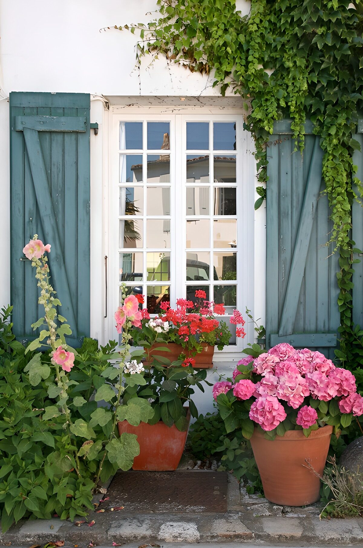 TPDE22814: Blumenpracht vor dem Fenster