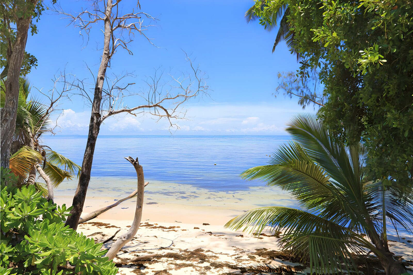 TPDE27177: Tropischer Strand mit klarem Wasser