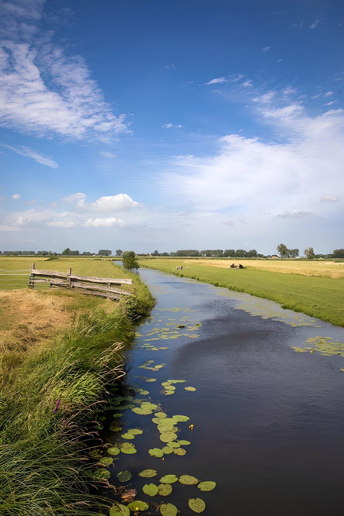 TPDE96624: Idylle am Wasser im ländlichen Deutschland