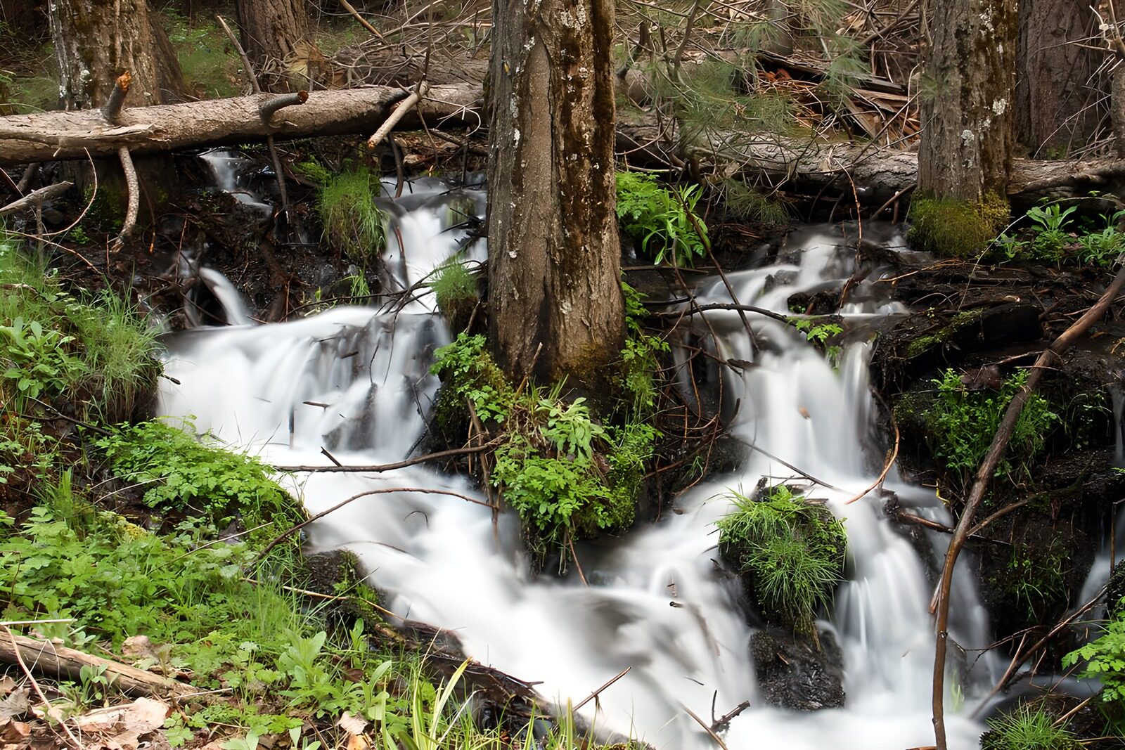 TPDE60029: Wasserfall inmitten der Natur