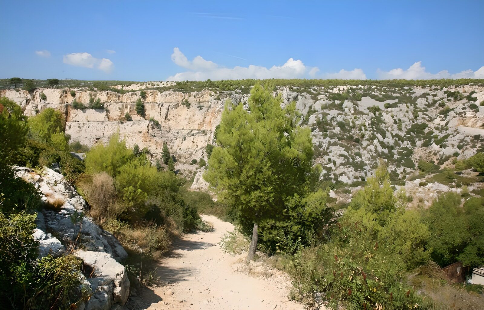 TPDE83380: Felsküste in  Cassis 7