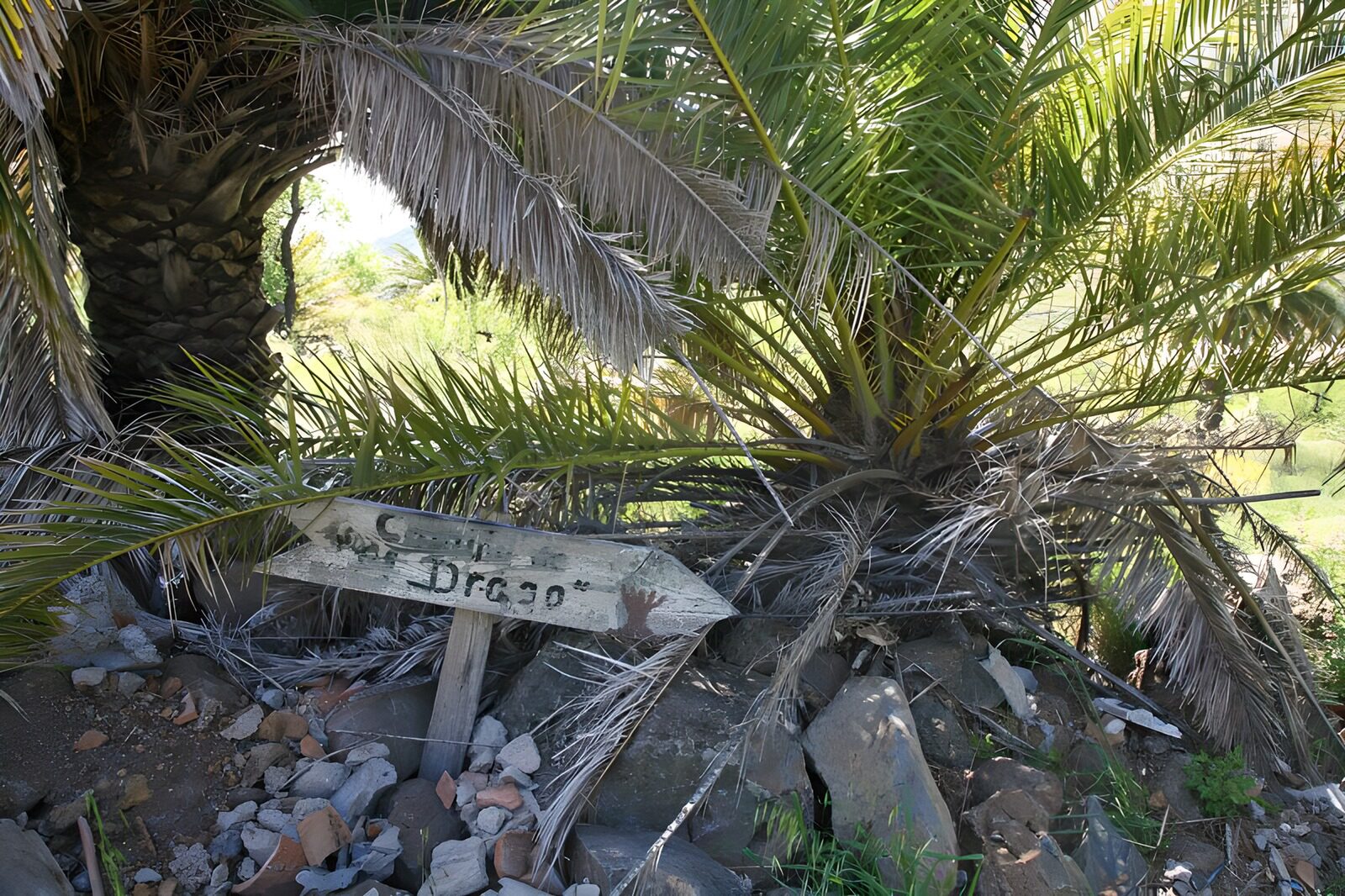 TPDE33351: Wegweiser auf La Gomera