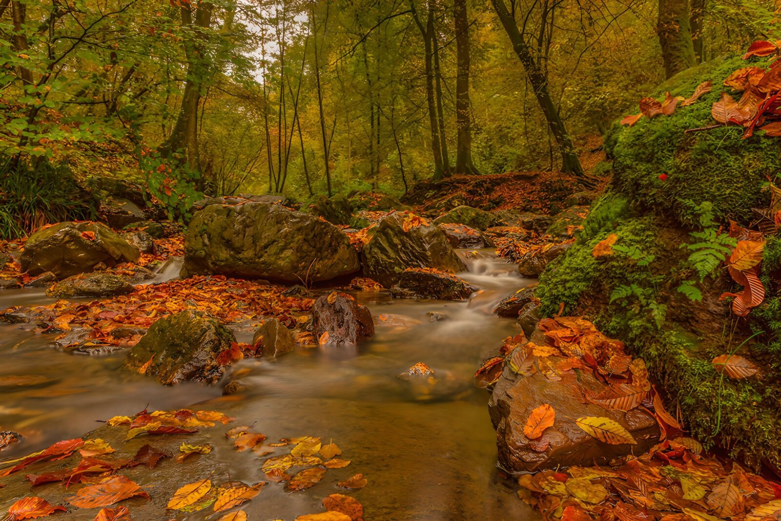 TPDE14218: Herbstliche Landschaft am Fluss