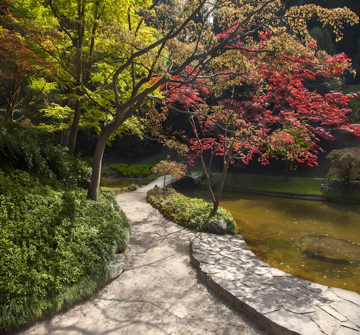 Wanderweg durch einen typischen japanischen Garten