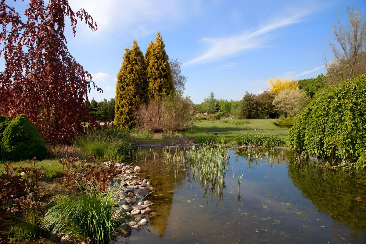 ein Teich in einem Park in Warschau