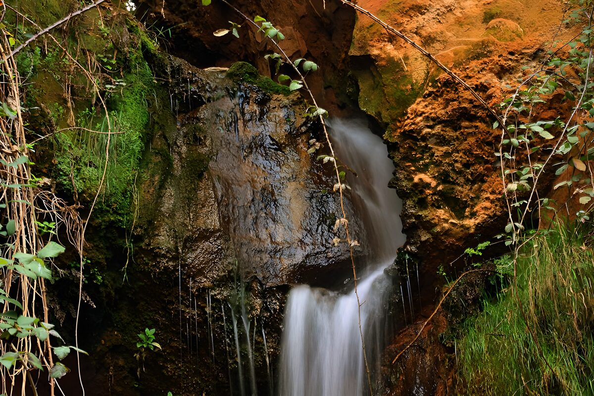 TPDE81824: typische, feuchte Vegetation in der Nähe eines Wasserfalls