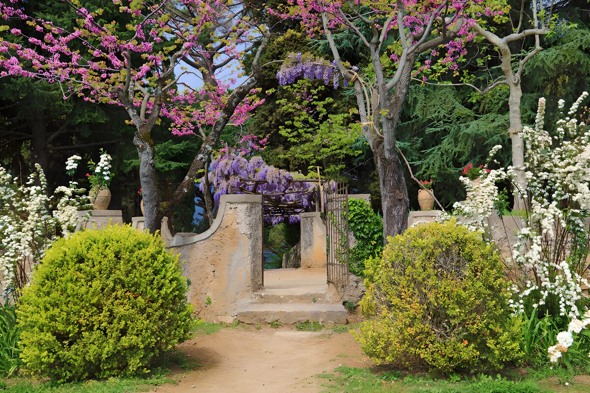 TPDE67343: Blütenpracht im Garten