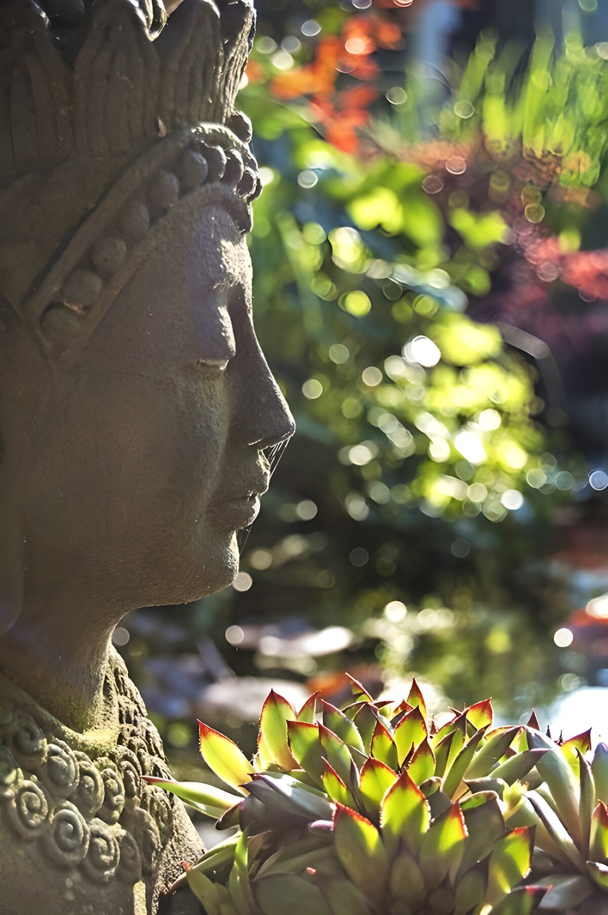 TPDE42806: Blick auf eine Buddha inmitten tropischer Pflanzen